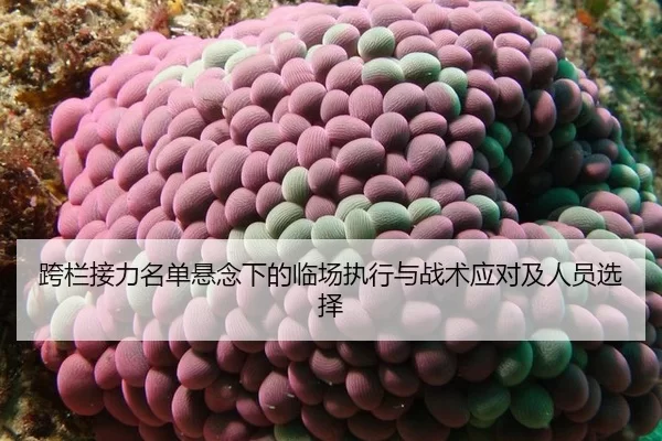 跨栏接力名单悬念下的临场执行与战术应对及人员选择